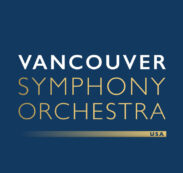 cropped-VSO_WEB_LOGO.jpg